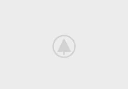 wood-gallery-placeholder wood-gallery-placeholder