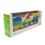 Tegu Baby Big Shape Train 9 Teile