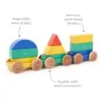Tegu Baby Big Shape Train 9 Teile