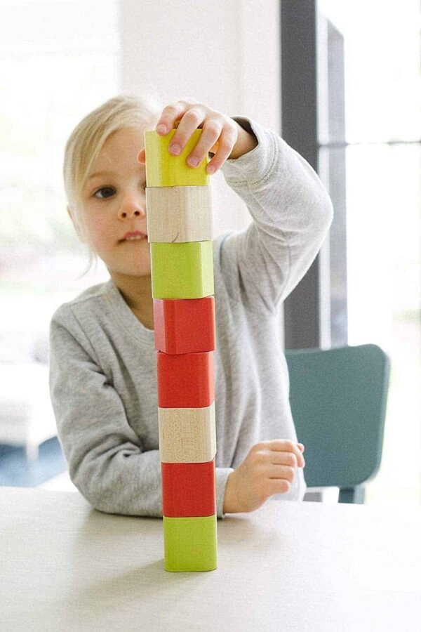 Tegu Baby Bauklötze 15 Teile2