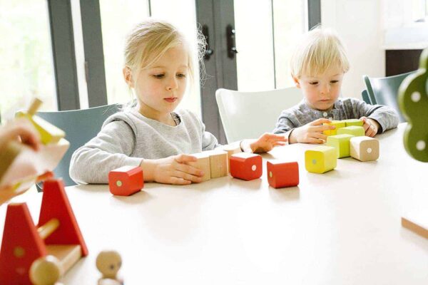 Tegu Baby Bauklötze 15 Teile2