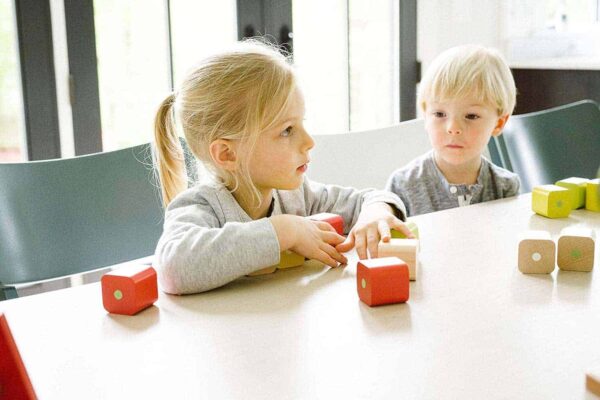 Tegu Baby Bauklötze 15 Teile2