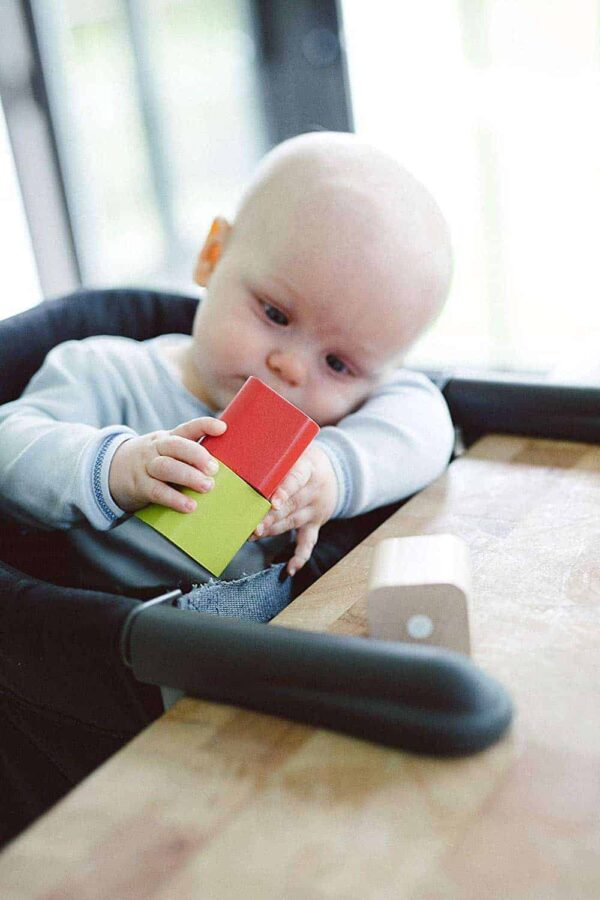 Tegu Baby Bauklötze 15 Teile2