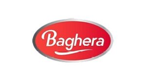 Baghera Logo