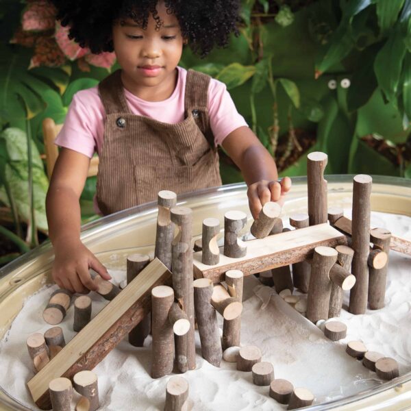 Guidecraft Big Branch Block Builders