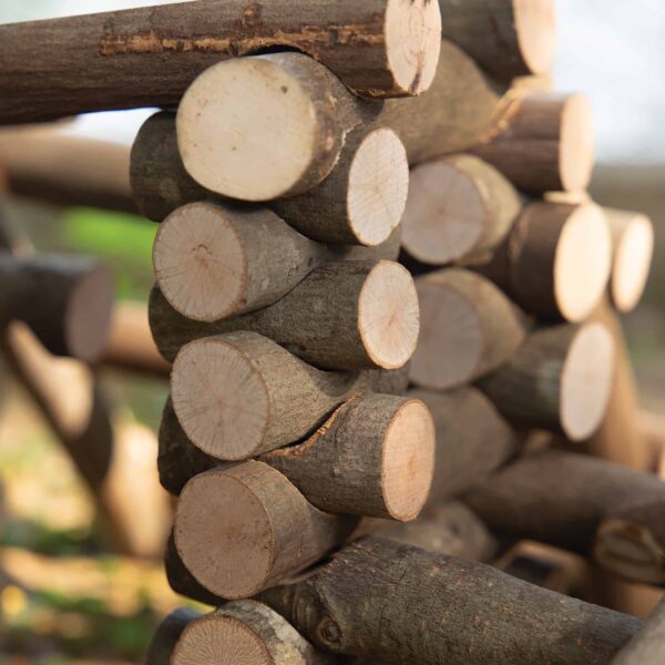 Guidecraft Big Branch Block Builders