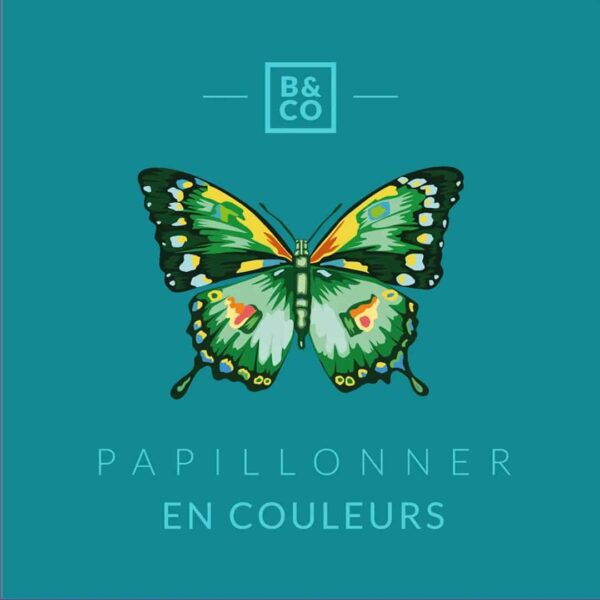Billes & Co - Minibox Schmetterling