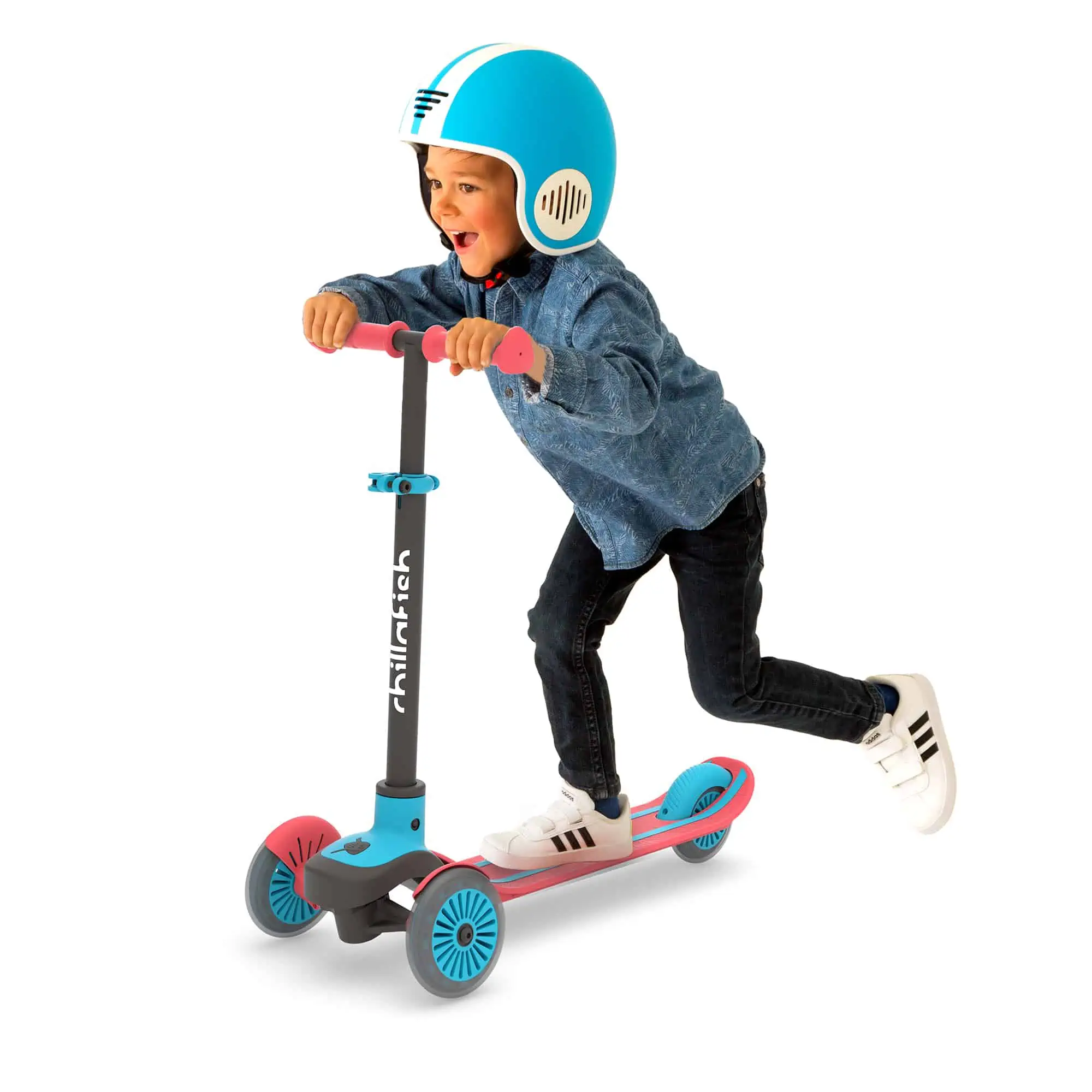 Chillafish Scottie Rot (1) Chillafish Scottie Rot (