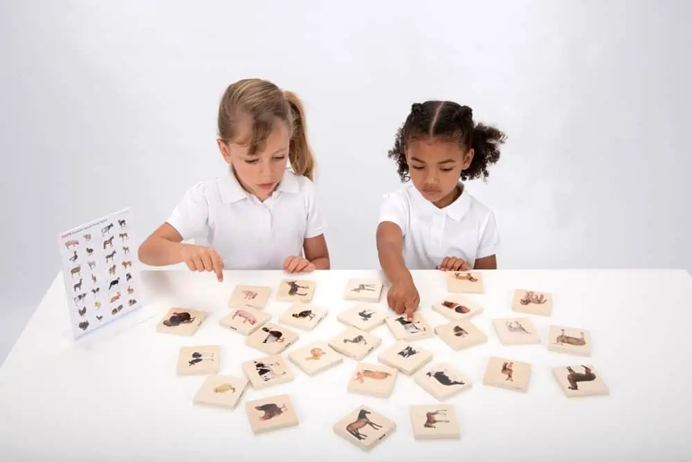 Tickit Domestic Animal Family Match (7) Tickit Domestic Animal Family Match (7)