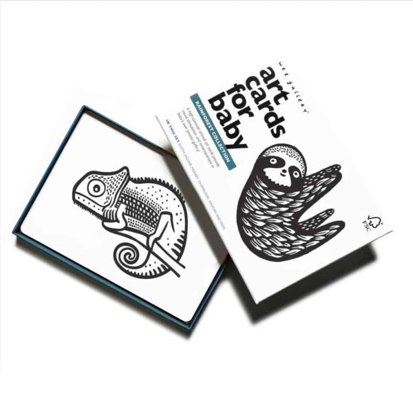 Wee Gallery Baby Art Cards - Regenwald