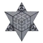 Shashibo - Cube Black & White