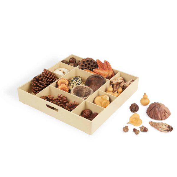 Guidecraft Lose Parts MINT Container Nature’s Geometry