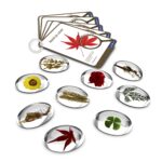 Guidecraft Specimen Stones - Plants