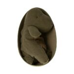 16-2605-01_Maileg-Gantosaurus-im-Ei-Medium-1