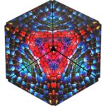 Shashibo Cube- Chameleon-3250806