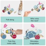 TOPBRIGHT-1211042022-DER HASE UND DIE SCHILDKRÖTE