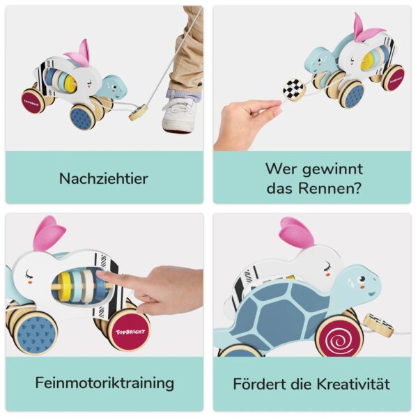 TOPBRIGHT-1211042022-DER HASE UND DIE SCHILDKRÖTE