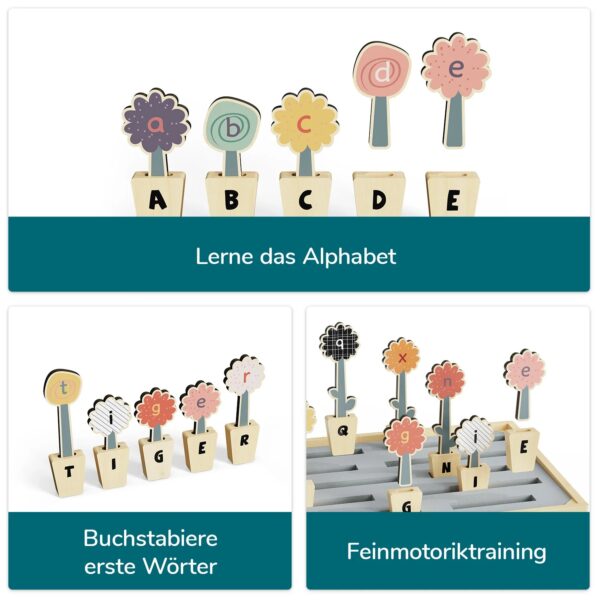 TOPBRIGHT-1211392023-ABC BLUMEN